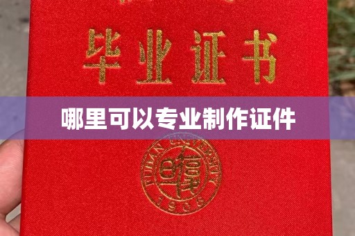 大内哪里可以专业制作证件