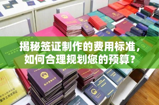 大内揭秘签证制作的费用标准，如何合理规划您的预算？
