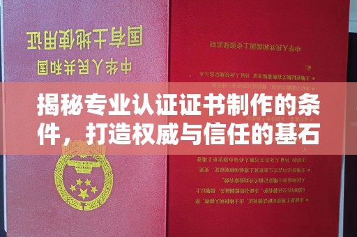 大内揭秘专业认证证书制作的条件，打造权威与信任的基石