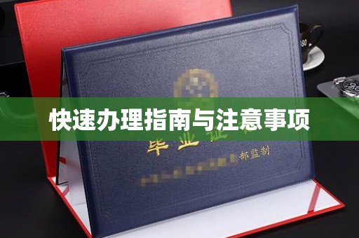 大内快速办理指南与注意事项