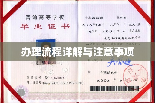 大内办理流程详解与注意事项